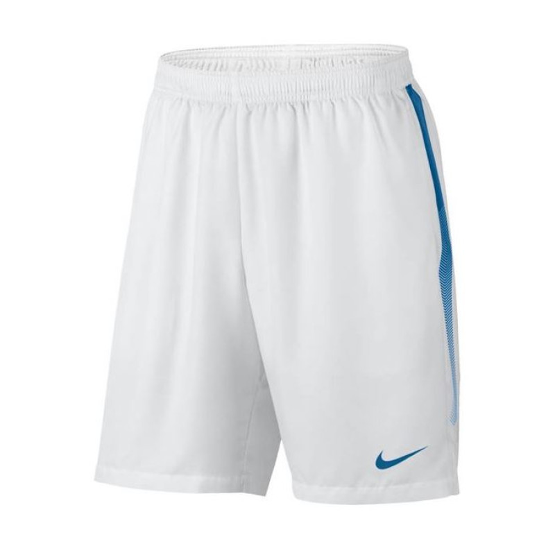 Nike sb 2024 dry court shorts