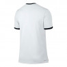 Camiseta Nike NKCT Dry Top Team