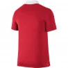 Polo Nike Team Court