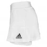 Saia Adidas All Premium