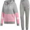 Agasalho Adidas WTS CO Energize