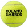 Bola Wilson Roland Garros