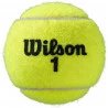 Bola Wilson Roland Garros