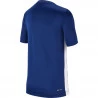 Camiseta Nike Infantil Dry SS Trophy