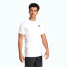 Camiseta Adidas Tennis Pro Climacool  Freelift