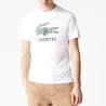 Camiseta Lacoste Masc Logo Craquelado