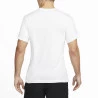 Camiseta NikeCourt Coala