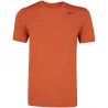 Camiseta Nike Dry Legend 2.0