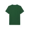 Kit Camiseta e Bone Lacoste Novak Djokovic