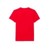 Kit Camiseta e Bone Lacoste Novak Djokovic