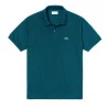 Polo Lacoste Best