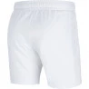 Short NikeCourt RAFA 